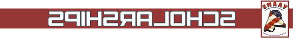 VAAMS Logo